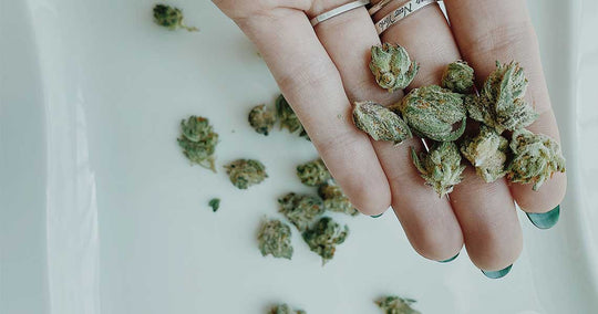 Smokeless cannabis methods to try during outbreak