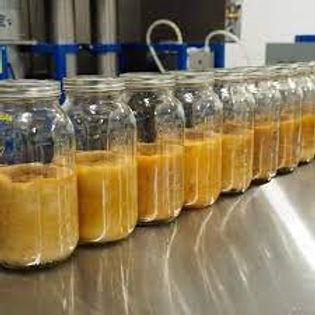 Bulk (81% + 14% Minors) CBG Isolate Distillate (100G,500G,1KG Pricing)